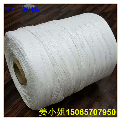 雙螺桿電纜填充繩大棚繩拉絲制繩生產(chǎn)設(shè)備 塑料填充繩生產(chǎn)線機(jī)械