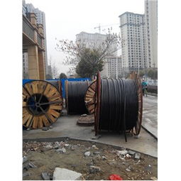 采購(gòu)上海電線電纜回收,上海電纜線回收